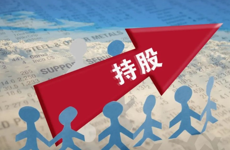 专业炒股配资网:助您财富倍增